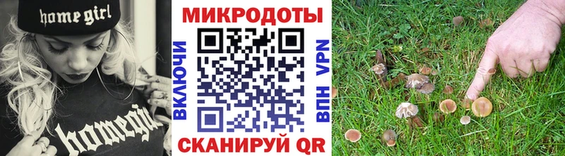 где купить наркотик Звенигород Псилоцибиновые грибы прущие грибы
